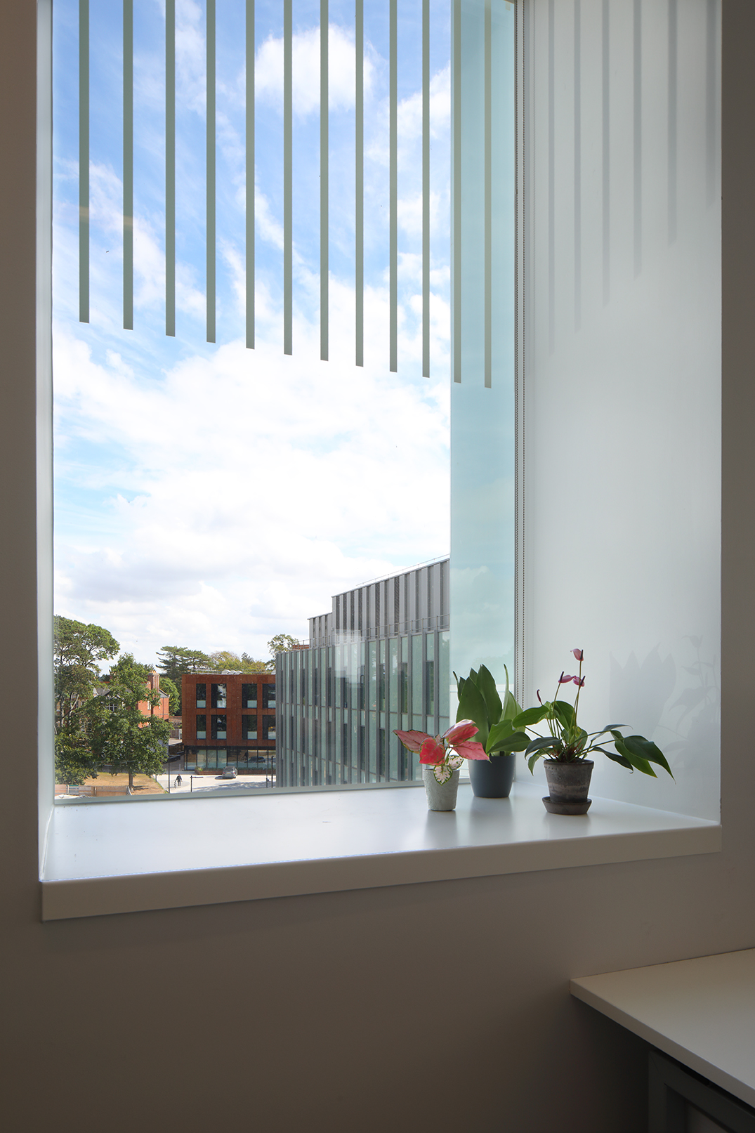 Kennedy Institute, Oxford. Interiors of rooftop extension by Fathom Architects.